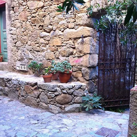 Les Geckos Corbara