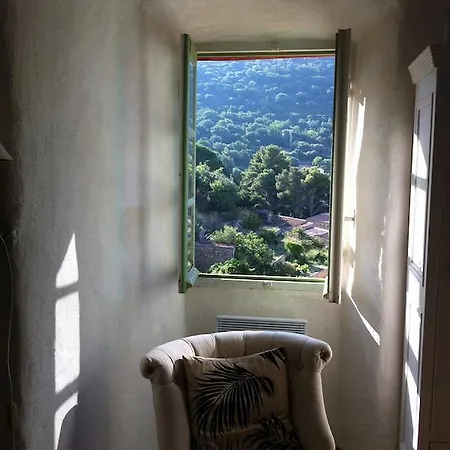 Apartment Les Geckos *