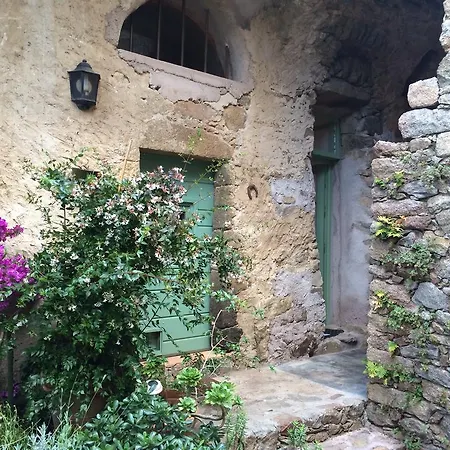 Les Geckos Корбара